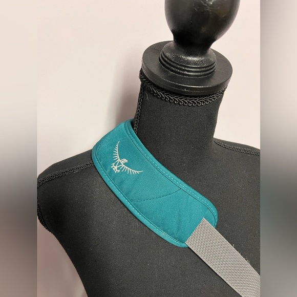 OSPREY Teal TABLET Device CROSSBODY Messenger BAG - Picture 3 of 16